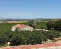 Resales - Villa - Algorfa - Lomas De La Juliana