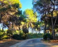 Resales - Villa - Dehesa De Campoamor - Campoamor