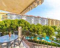 Resales - Wohnung - Orihuela Costa - Campoamor