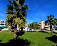 Resales - Wohnung - Playa Flamenca