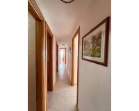 Resales - Wohnung - Torrevieja