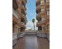 Sale - Appartement - La Mata