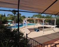 Sale - Country Property - Catral - Catral - Country