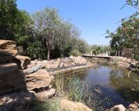 Sale - Country Property - Catral - Catral - Country