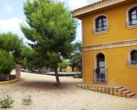 Sale - Country Property - Ciudad Quesada - Lo Pepin