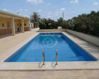 Sale - Country Property/Finca - Crevillente - Crevillente Alicante