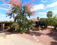 Sale - Country Property - Orihuela - La Campaneta