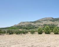 Sale - Finca - Castalla