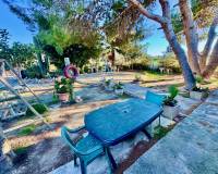 Sale - Finca / Country Property - Guardamar del Segura