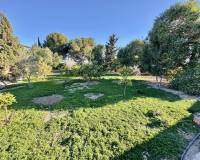 Sale - Finca / Country Property - Guardamar del Segura