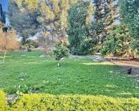 Sale - Finca / Country Property - Guardamar del Segura