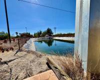 Sale - Finca / Country Property - Los Montesinos