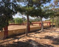 Sale - Finca / Country Property - Los Montesinos