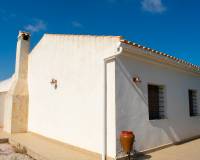 Sale -  - Guardamar del Segura - El Raso