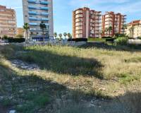 Sale - Plot - Guardamar del Segura - Guardamar pueblo