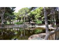 Sale - Plot - Guardamar del Segura - Guardamar pueblo