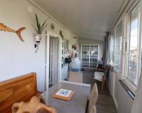 Sale - Propriété de pays - Orihuela - La Campaneta