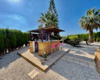 Sale - Propriété Finca / Country - Dolores - pueblo