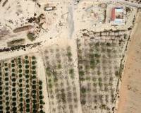 Sale - Terrain - Torremendo - Torremendo - Country