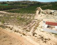 Sale - Terrain - Torremendo - Torremendo - Country