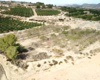 Sale - Terrain - Torremendo - Torremendo - Country