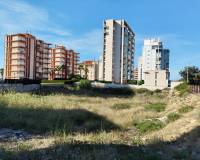 Sale - Участок - Guardamar del Segura - Guardamar pueblo