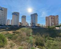 Sale - Участок - Guardamar del Segura - Guardamar pueblo