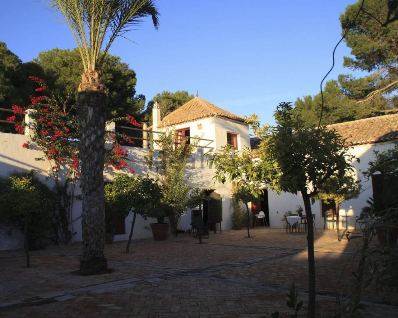 Участок - Sale - Balsicas - solcost-71979