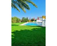 Ventas -  - Alicante - Moralet - Cañada del Fenollar