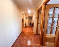 Ventas -  - Alicante - Moralet - Cañada del Fenollar
