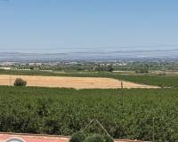 Ventas - Chalet - Algorfa - Lomas De La Juliana