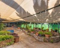 Ventas - Finca / Propiedad Rural - Catral