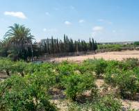 Ventas -  - Guardamar del Segura - El Raso