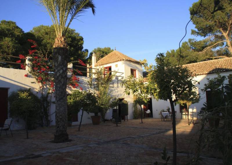 Finca - Ventas - Balsicas - Balsicas