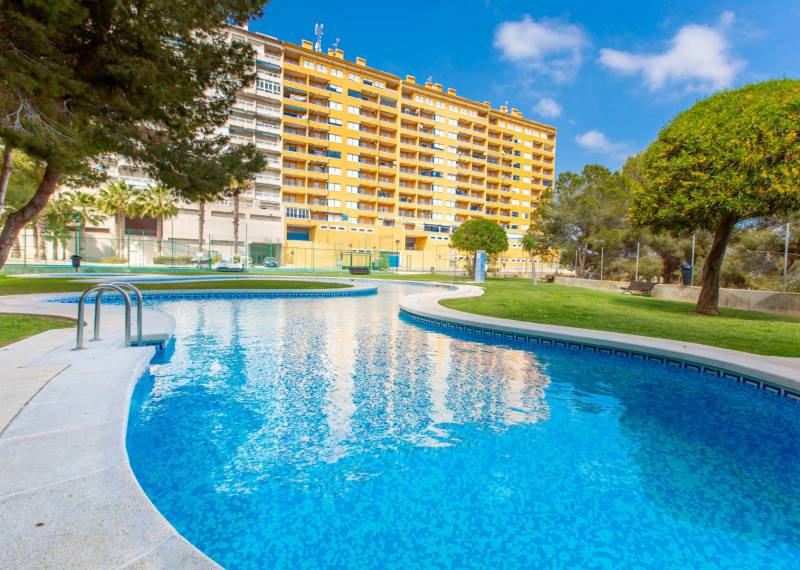 Appartement - Sale - Dehesa De Campoamor - Dehesa De Campoamor