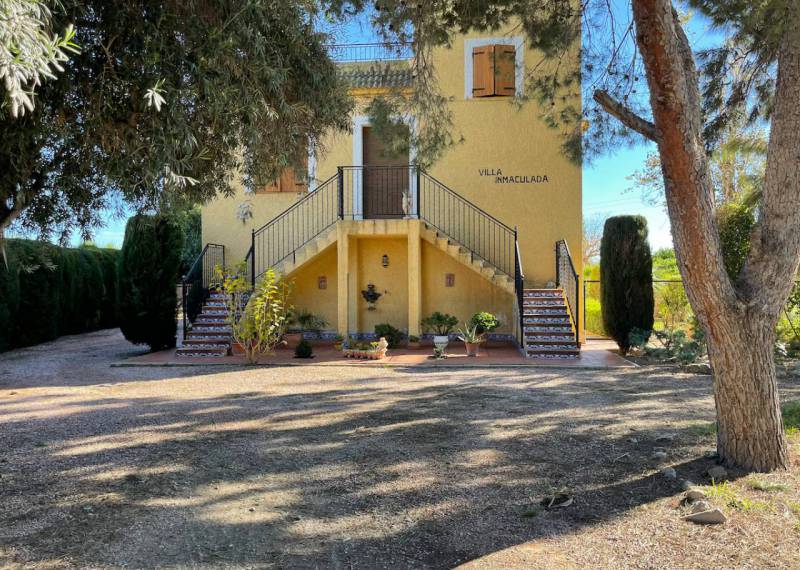 Finca / Propiedad Rural - Ventas - Daya Vieja - Daya Vieja