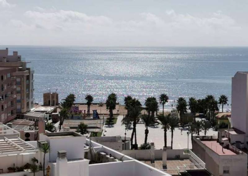Apartamento - Ventas - La Mata - La Mata