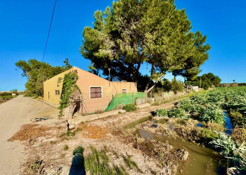 Finca / landbezit - Resales - Guardamar del Segura - Guardamar del Segura