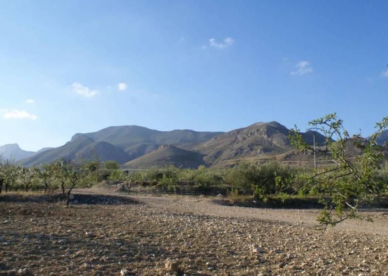 Plot - Resales - Murcia - Murcia