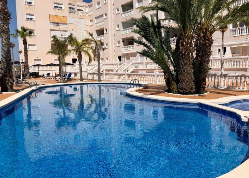 Wohnung - Long time Rental - Guardamar del Segura - Guardamar del Segura