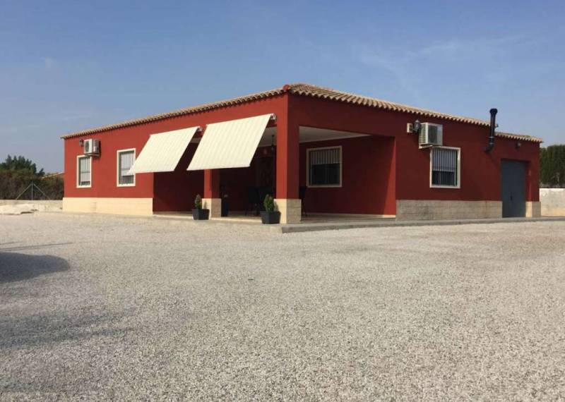 Detached Villa - Resales - Crevillente - CrevillenteAlicanteValenciaSpain