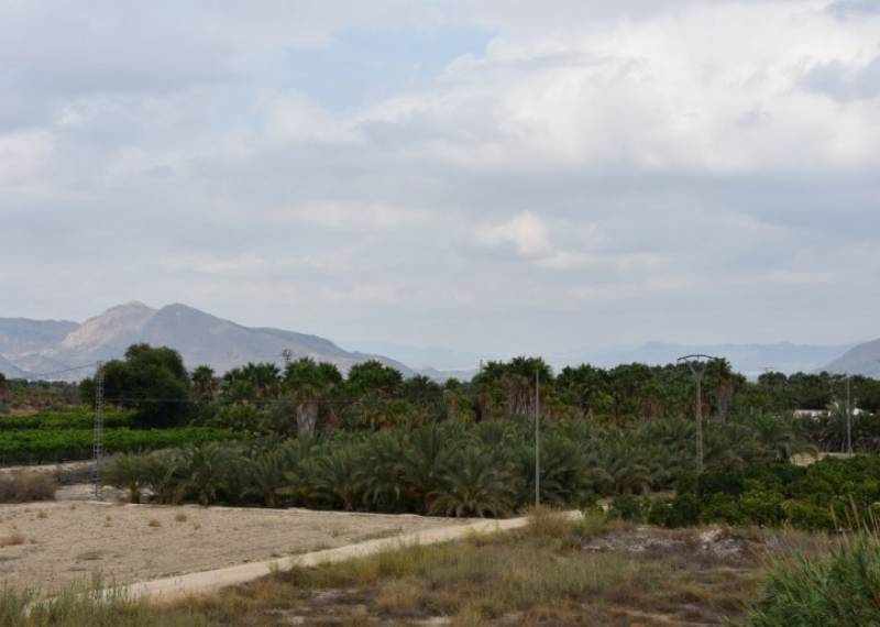 Apartment - Resales - Jacarilla - Jacarilla