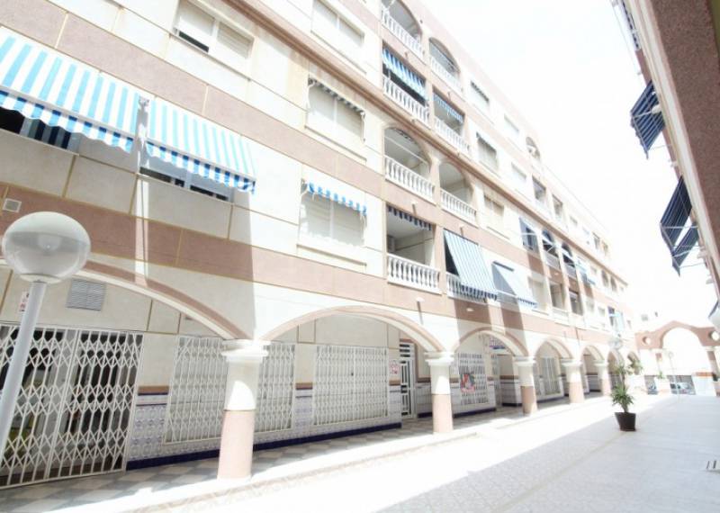 Apartamento - Ventas - La Mata - La Mata