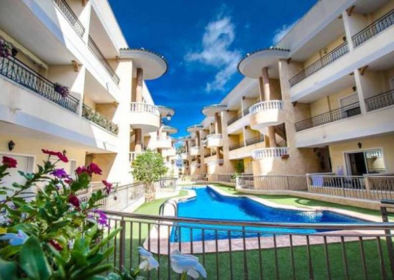 Penthouse - Resales - Jacarilla - Jacarilla