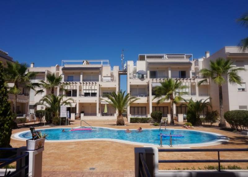 Apartamento - Ventas - Torrevieja - Torrevieja