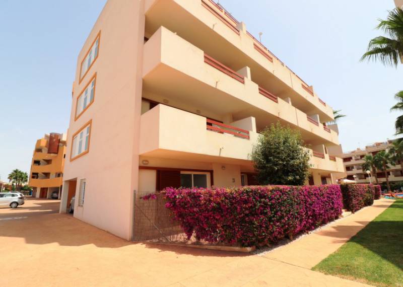 Apartment - Resales - Playa Flamenca - Playa Flamenca