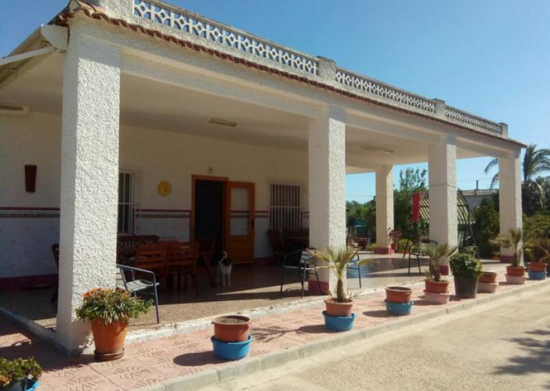 Villa - Sale - Elche - Elche