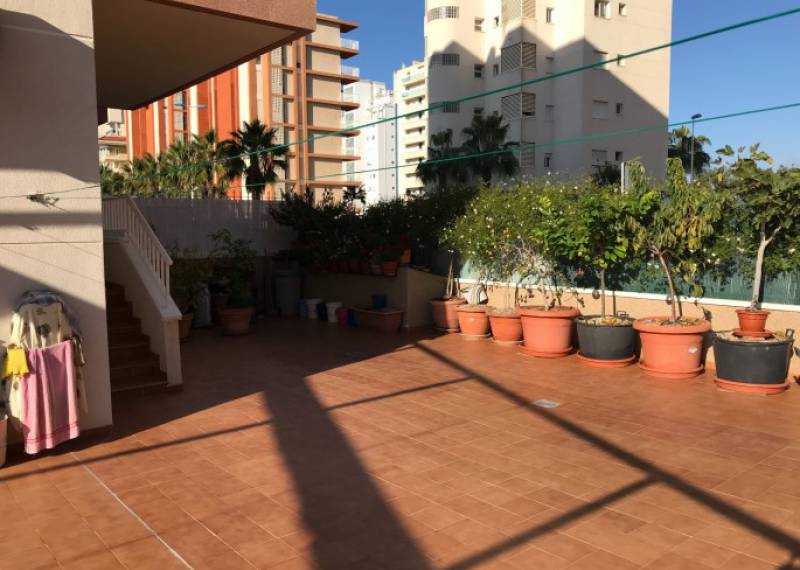 Appartement - Sale - Guardamar del Segura - Guardamar del Segura