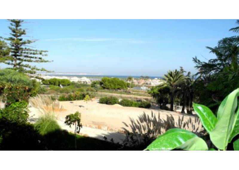 Kommerziell - Resales - Elche - Elche