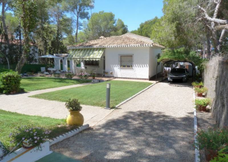 Chalet - Ventas - Pinar de Campoverde - Pinar de Campoverde
